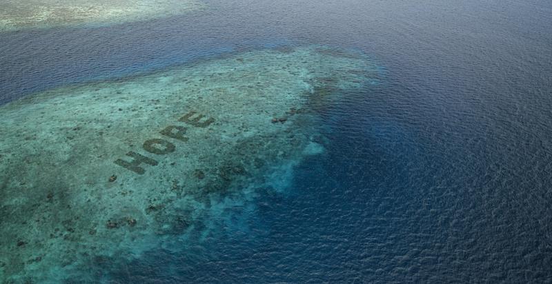 為珊瑚礁復育盡一份心力，一起看見生命回到海洋