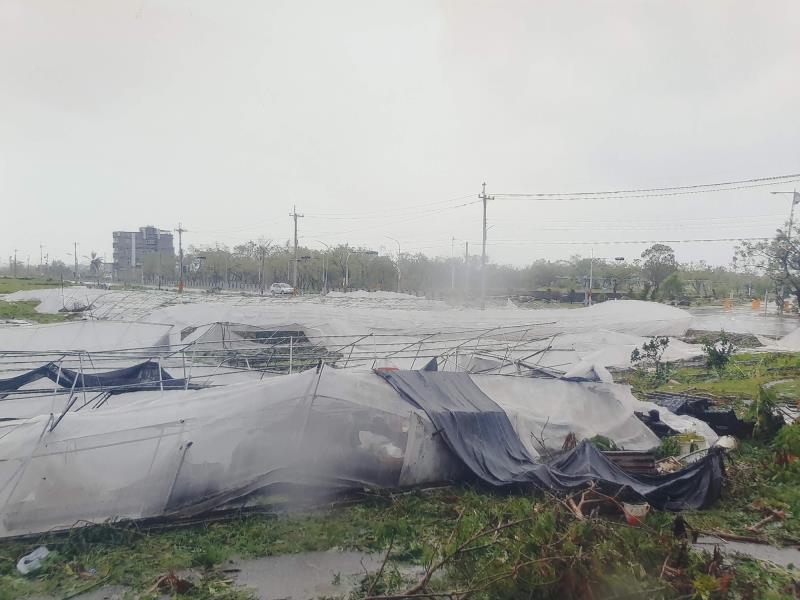 2016年尼伯特強颱襲擊臺灣，羅國樑辛苦搭建的八座溫室毀於一旦。╱中信慈善基金會提供