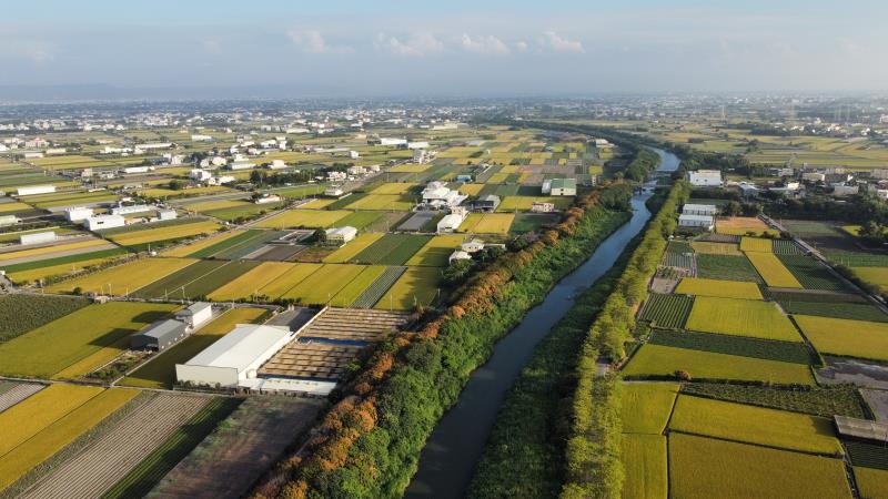 東螺溪被譽為「彰化的母親河」，富邦金控希望在沿岸重現彰化平原百年的天然林。