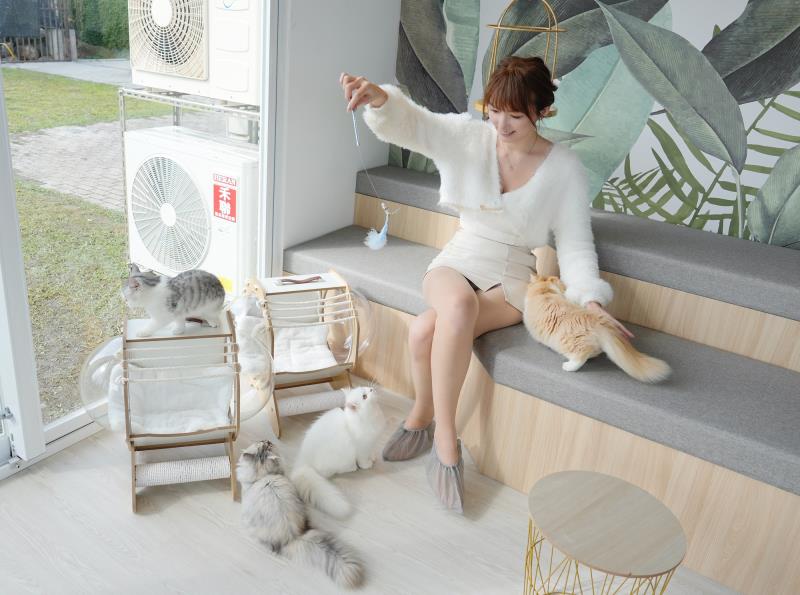 綠舞國際飯店全新品牌「擼らら Sweets」貓咪甜點店正式開幕