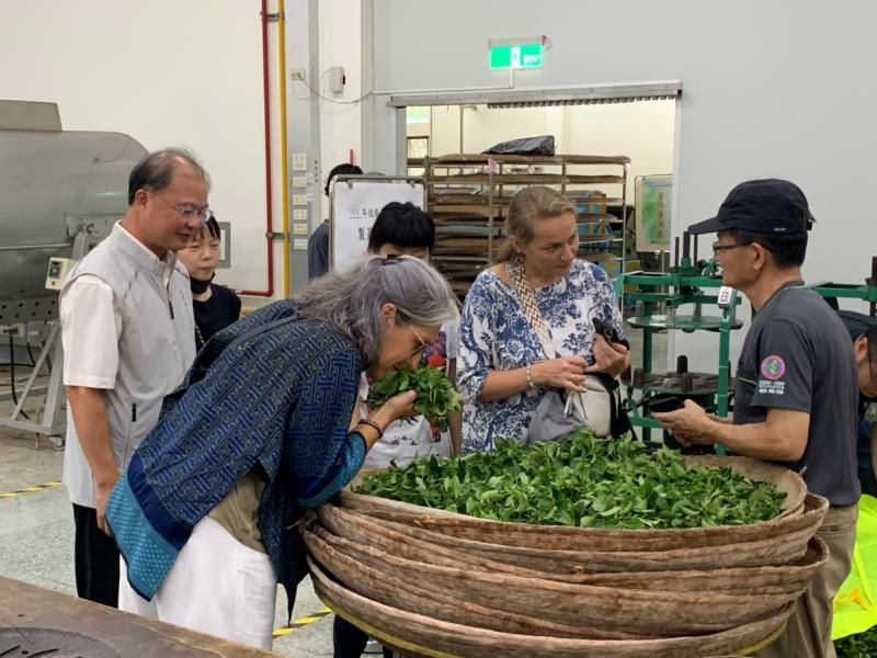 法國農產品加值協會茶葉評審從頭到尾了解臺灣茶製茶流程情形