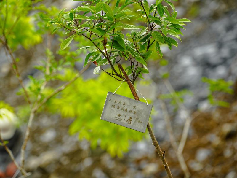 深耕碳管理  雲品國際 實踐永續發展承諾