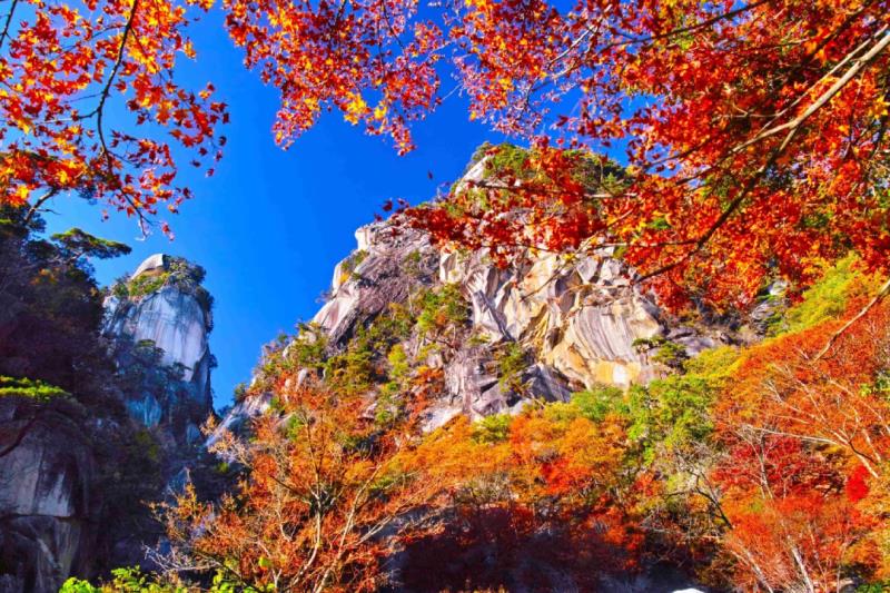 夏季旅展將登場 五福旅遊多重限時優惠登場