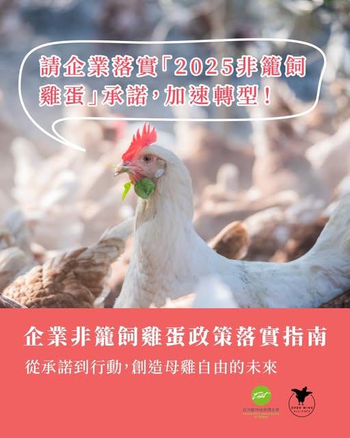 台灣動物社會研究會發表《企業非籠飼雞蛋政策落實指南》。