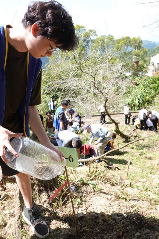 華梵大學學生為小小梅樹苗覆土澆水。