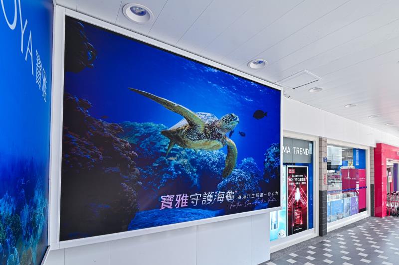 海保署海洋永續行動大賞 表彰海洋保育寶雅公司等ESG企業  