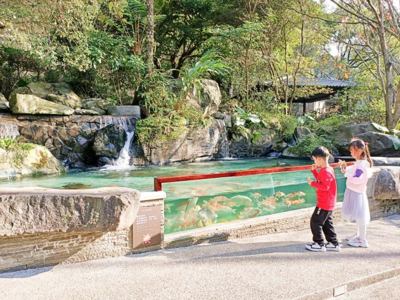 大板根森林溫泉酒店 ITF台北國際旅展破盤價商品登場