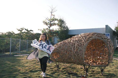 活動亮點布置。