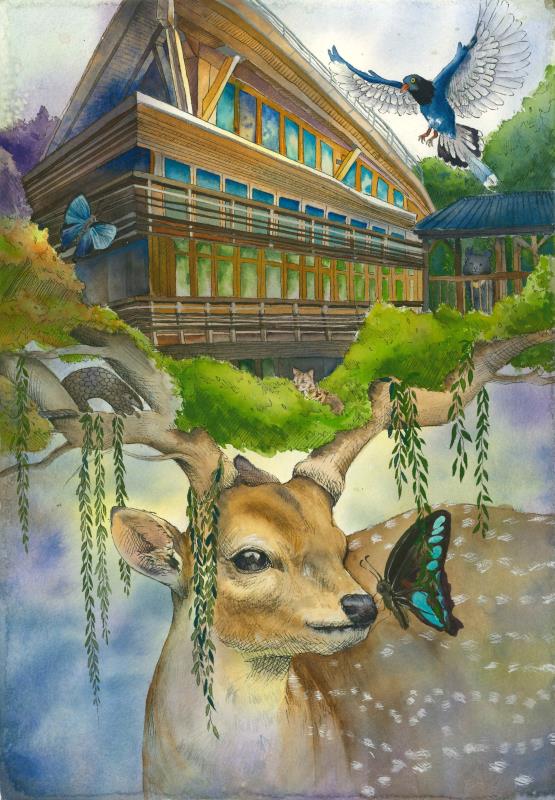 甲等-DN010-053-林瑩妤