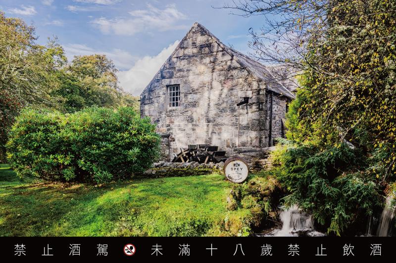 SPEY × PICASSO®聯名系列迎最終章　1996年《奧莉維亞》原酒登場、七瓶典藏首度完整釋出