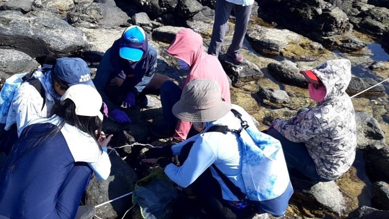 澎湖七美水產動植物繁殖保育區在地團體調查生態資源情形