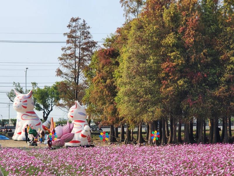 2026 六甲落羽松季盛大登場進駐森林 邀民眾一起松鶴逗陣遊曾文