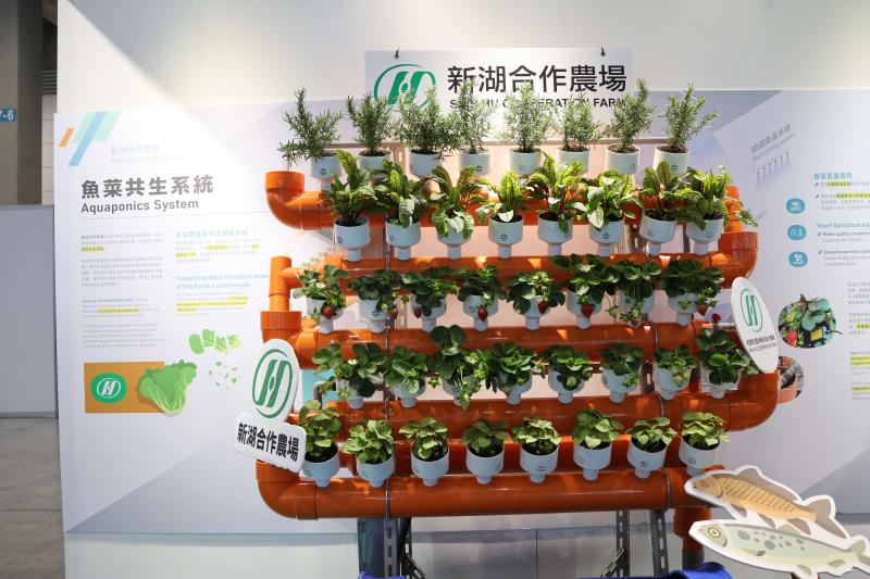 新湖合作農場導入DSSAT作物模式推動農業氣候調適H2A2097.