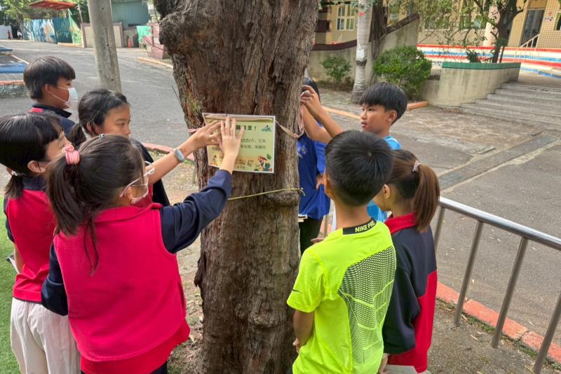 圖：大園區大園國小學生測量樹木固碳量後，為校樹製作「身分證」。