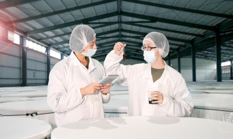 發酵技術導入養生市場　大漢酵素布局燕窩機能食品新方向