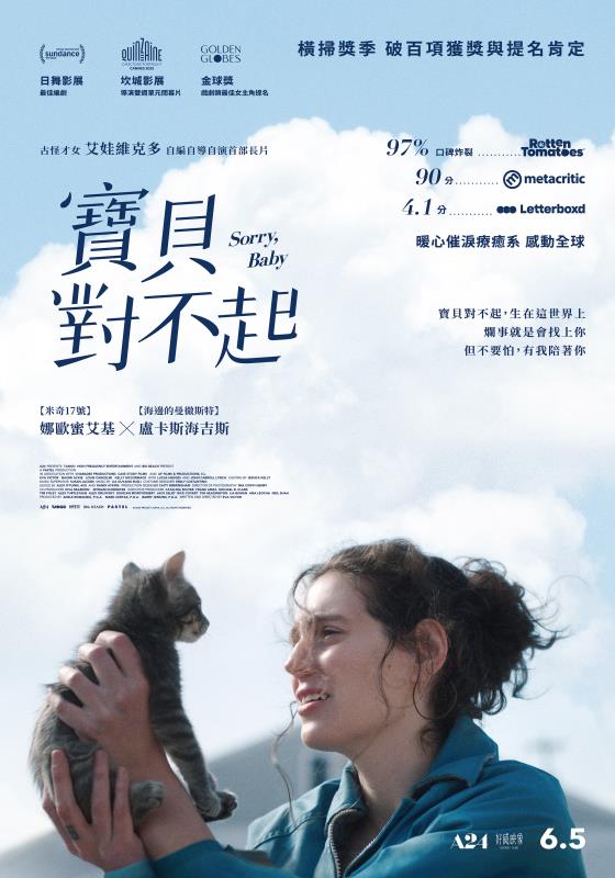 《寶貝對不起》台版正式海報。