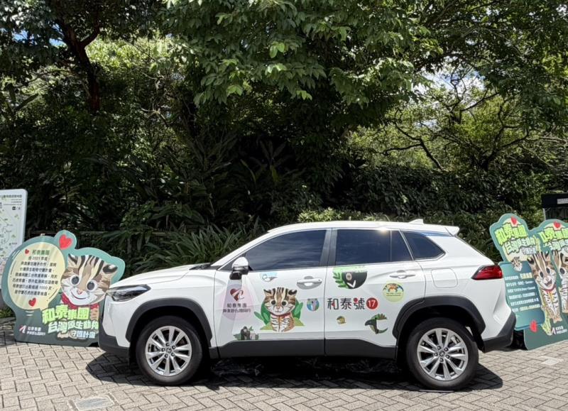 和泰集團石虎保育車進駐動物園　暑期展車推廣石虎保育