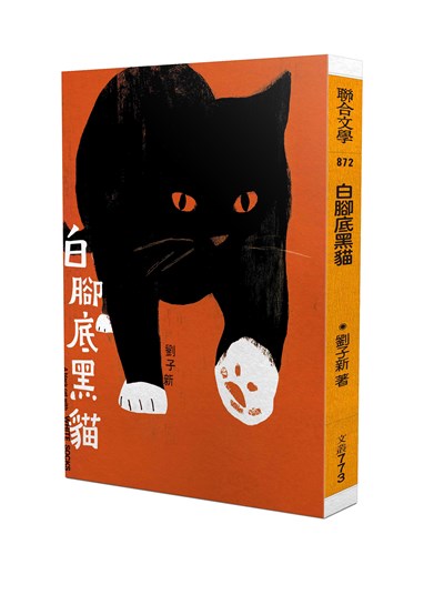 白腳底黑貓