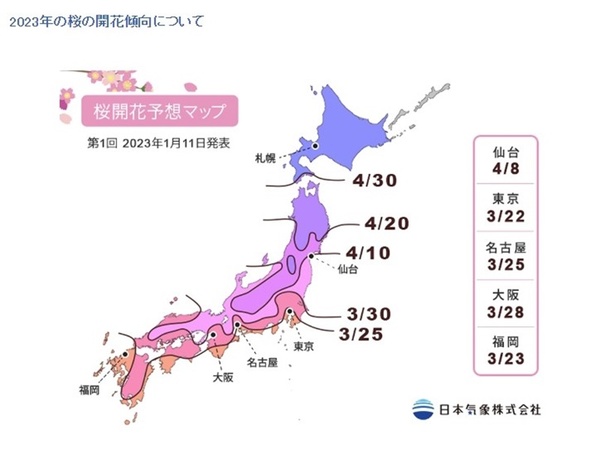日本今年櫻花開花日預測看這裡 東京3/22大阪3/28