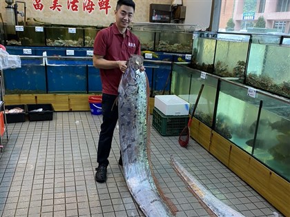 宜蘭東澳捕獲近5公尺地震魚 民眾嘖嘖稱奇