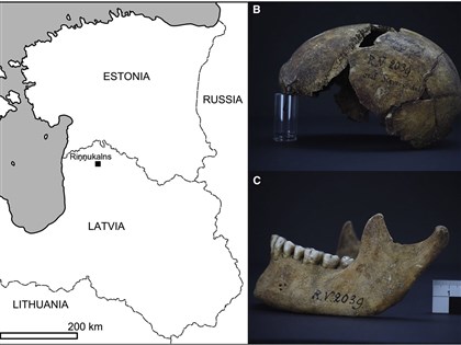 拉脫維亞5000多年遺骸 疑為歐洲黑死病零號病人