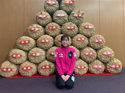 日桌球女將石川佳純獲激勵獎品白米 可吃100年