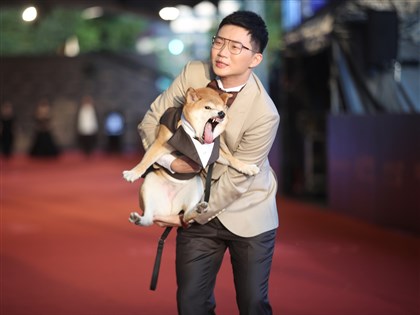 金鐘獎第56屆直播看這裡 多視角一次掌握