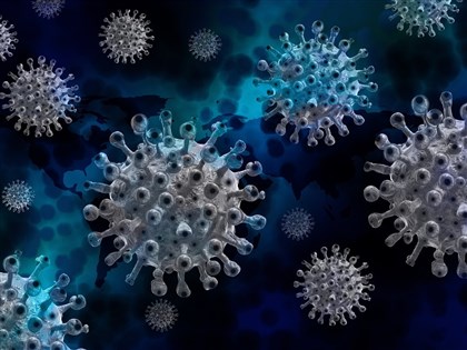 法國發現新變異病毒B.1.640.2 傳播力是否更強受矚目
