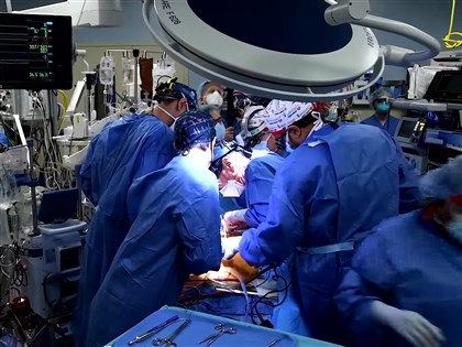 美國57歲男子接受豬心移植 動物器官移植人類里程碑