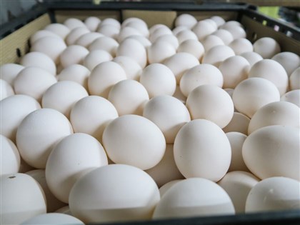 日缺120萬顆蛋 農委會調度南蛋北送、美澳進口 估清明恢復正常