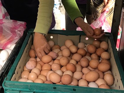 北農門市出現雞蛋搶購潮 百箱4斤裝5分鐘賣光