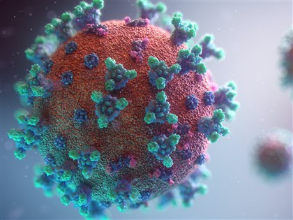 Omicron次變異株BA.2現蹤近60國 傳染力更強引關注