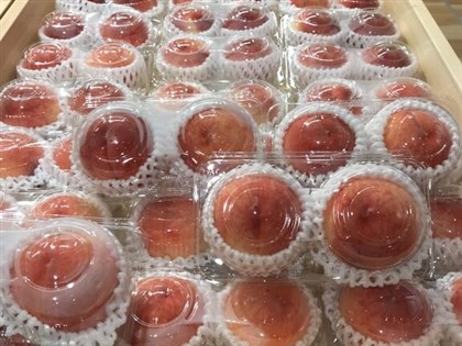 台灣將開放福島食品 水蜜桃等果農摩拳擦掌