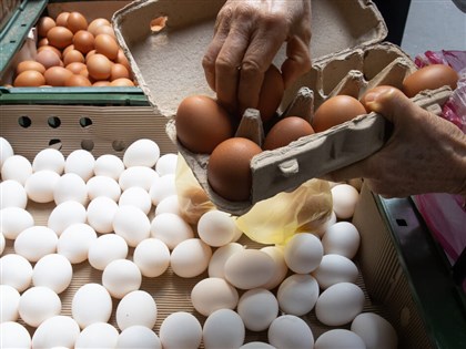 天冷產蛋率未回升 蛋商估清明節才能足量供應