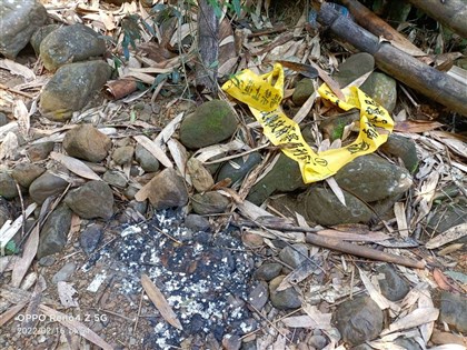 網紅蹭臥龍洞3屍案話題 破壞林地最重罰28萬