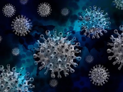 Omicron亞型變異株BA.2傳播速度、症狀如何？QA一次看