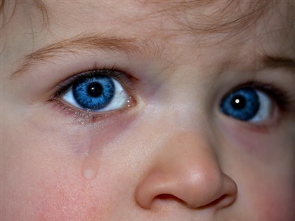 日本團隊首創iPS細胞人造淚腺 有望助治療乾眼症