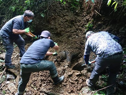 涉槍殺野放東卯山黑熊 南投2男到案各3萬元交保
