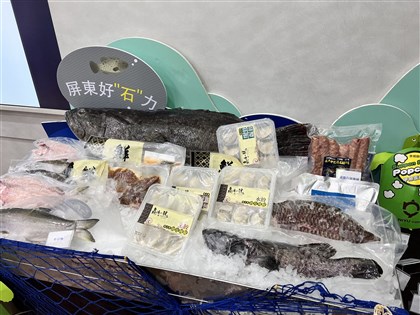 屏東石斑試銷簽約 首批3公噸龍膽石斑外銷日本