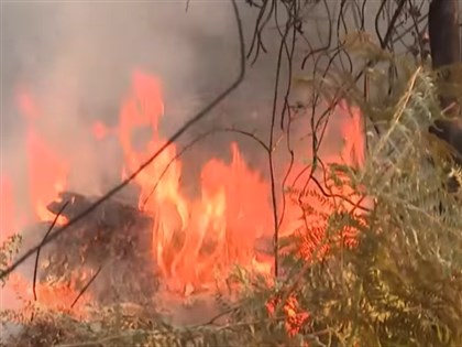 法國西南部野火延燒近一萬公頃 英國下週高溫恐達40度[影]