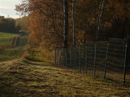 波蘭稱防非法移民 俄羅斯飛地加里寧格勒邊界建圍籬