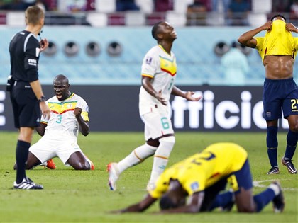 塞内加尔2比1击退厄瓜多 睽违20年晋级世足16强