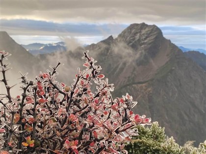 鄭明典分享玉山凍雨美景 揭成因：雨水落至地面才結冰