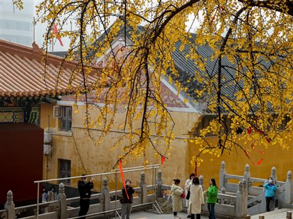 小寒如春分  中國多地暖到破紀錄