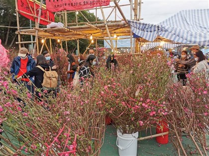 港人過年習俗多 派紅包逛花市節氣濃厚