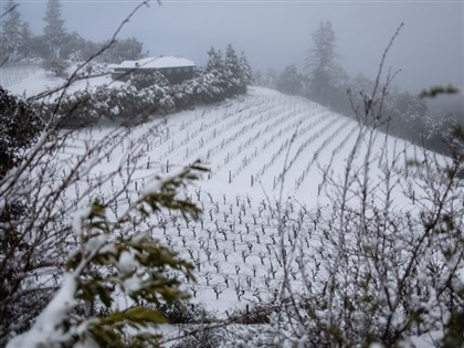 加州罕見大雪 逾10萬人無電可用[影]