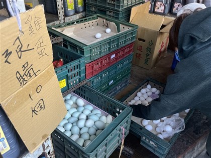 蛋價漲不停引關注 公平會：初步了解無涉聯合行為