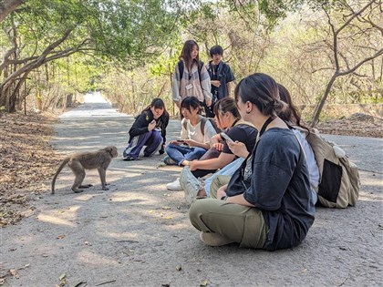 日本交換生高雄柴山找獼猴 猴子這習性最驚訝