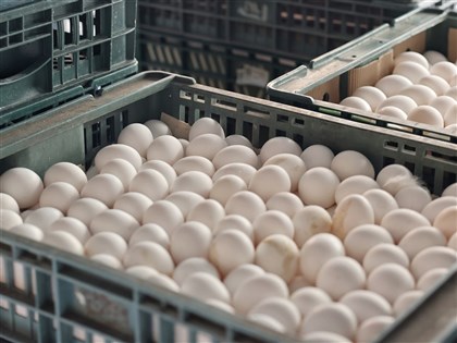 农委会：鸡蛋产能恢复不如预期 但短期应不会再涨