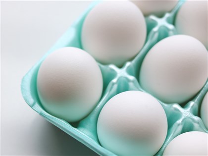 日本禽流感撲殺1612萬隻雞 蛋價再創30年新高